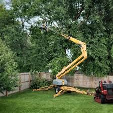 Best Seasonal Cleanup (Spring/Fall)  in Federal Heights, CO